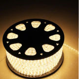 AC SMD5050 LED Strip Lights with CE/RoHS/FCC (PW7405)