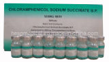 Chloramphenicol Sodium Succinate for Injection (HS-PO008)