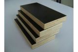 Quality Plywood for Construction (ZL-CP)
