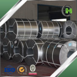 Hot Dipped Galvalume Steel Sheet in Coil