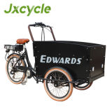 Electric Cargo Tricycle (DS-T05)