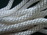 Nylon Solid Braided Rope/Nylon Rope