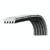 Poly V Belt