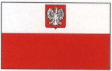 International Flag (4)