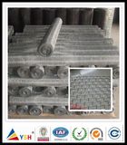 Galvanized Square Wire Mesh (ISO9001: 2008quality)