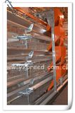 Hot-Sale Bt Factory H-Type Layer Poultry Cages (Welcome to Visit my factory)