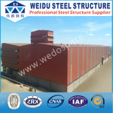 Light Steel Structure Modular Home (WD102002)