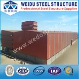 Light Steel Structure Modular Home (WD102002)