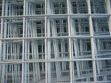 Welded Wire Mesh