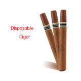 E Cigar/Smoking Mini Electronic Cigarette/Electronic Cigar