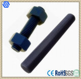 Stud Bolt with 2h Hex Nuts