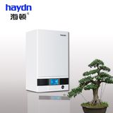 24kw Natural Gas Boiler