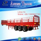 China Manufacturer 3 Axles Van Semi Trailer with Various Transportation