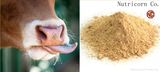 Feed Additive L-Lysine with High Quality