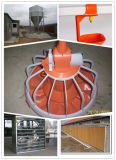 Fully Automatic Poultry Farming Equipment for Chicken Farm