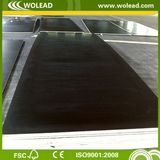 Poplar Core Black Film Faced 18mm Plywood (w15417)