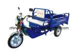 Electric Tricycle Qxss1004813