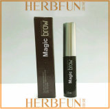 New Arrival Brow Growth Cream