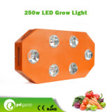 LED Flowering Light, LED Flowering Growing Lights, LED Fruit