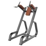 2015 Newest Fitness Machine Vertical Knees up DIP (SD1029)