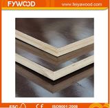 Australia Standard 1200X2400X17mm Brown Film Plywood