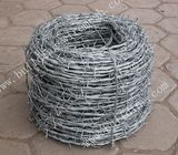 Electric/Hot Dipped Galvanized Barbed Wire
