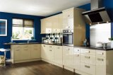 Lacquer Kitchen /Painting Kitchen Furniture/Modern Kitchen Cabinet Factory