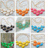 Fashion Beautiful Resin Necklace Jewelry (XL5301)