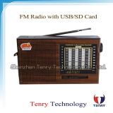 Rechargeable Radio with USB/SD Function Portable Radio Digital Radio FM Radio