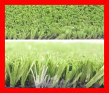 Artificial Grass Home (R10181)