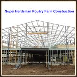 Professional Light Steel Structure Poultry Farm Construction