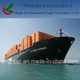 Cargo Shipping From China to Doha, Qatar