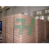 Food Grade PE Coated Paper for Paper Cup in Sheet (FH-231)