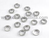 Stainless Steel Spring Washer (M8) 