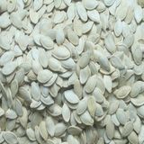 Shine Skin Pumpkin Seeds with High Quality