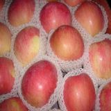 Best Quality China FUJI Apple Fresh Apple