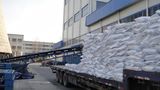 China Supply Dicalcium Phosphate Power Feed Grade