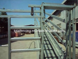 Cattle Ramp with Sliding Gate