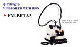 Mini-Boiler With Iron (FM-BETA3)