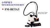 Mini-Boiler With Iron (FM-BETA3)