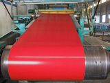 Prepainted Galvanized Steel Coil From China