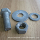 Hex Head Bolt with Washer and Nut Gr4.8