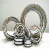 Cylindrical Roller Bearing with Pillow Block Bearing