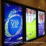 LED Advertising Display Light Box