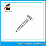 Made in China Fastener in Bolt/ Nut/ Screw High Quality