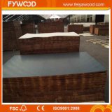 High Quality Wood Film Faced Plywood or Sale (FYJ1536)