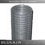 Fine Welded Mesh Wire Cloth for Sale