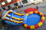 Inflatable Slide with Water Pool (CHSL501)