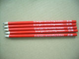 Factory Direct Sale High Quality Wooden Pencils Without Eraser Tc-P005