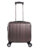 Business/Traveling Luggage, ABS+PC Laptop Luggage (XHL008)